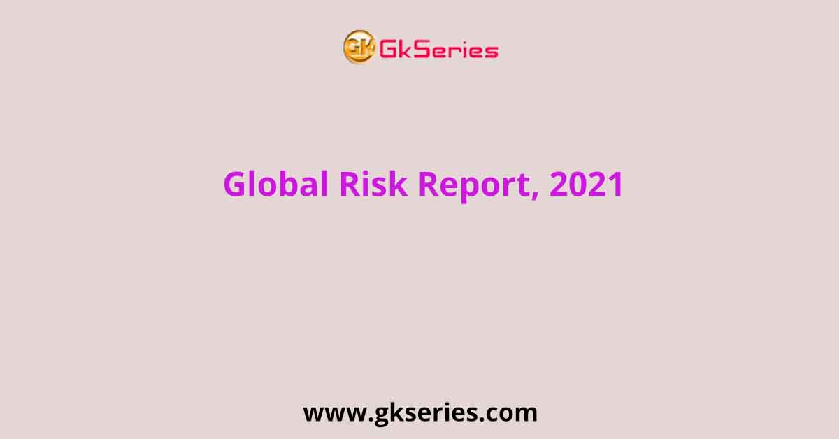 Global Risk Report