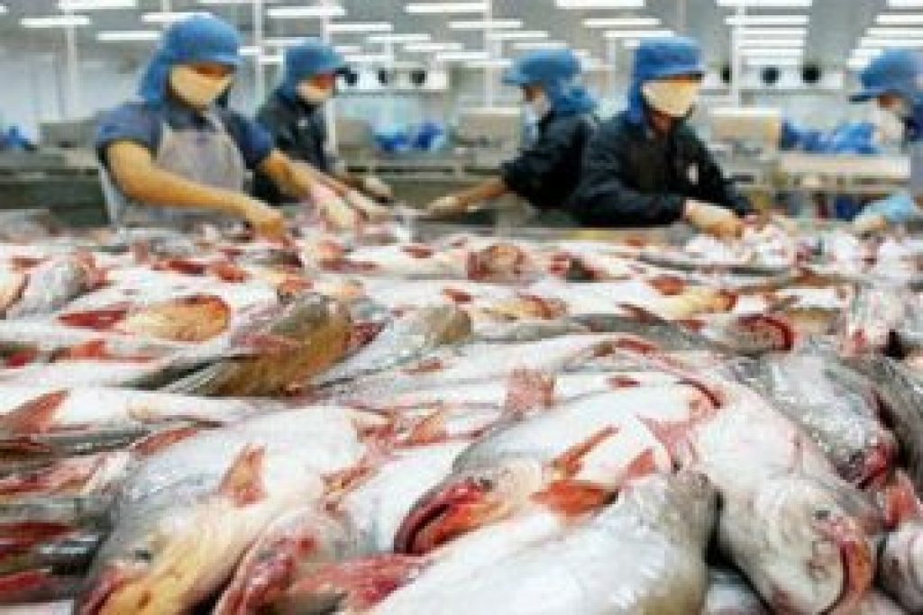 Gujarat topped the country with annual fish production of 7.8 lakh tonnes