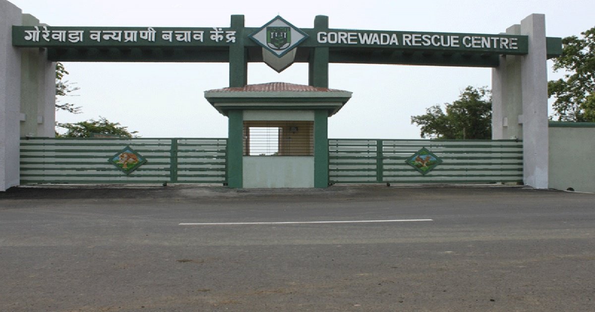 Gorewada International Zoo to be set up at Nagpur