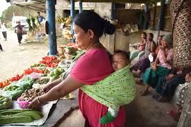 Lives of 3 lakh households in Mizoram, Nagaland, Tripura and Sikkim improved under NERLP