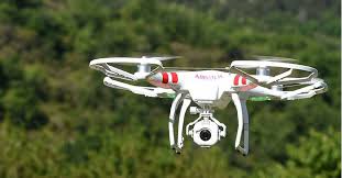 Drones to be deployed to destroy hidden marijuana plantations