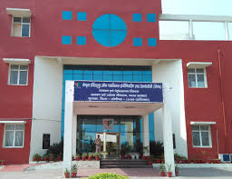 Central Institute of Plastics Engineering and Technology, Murthal