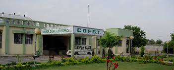 College of Dairy and Food Science Technology, Udaipur