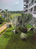 Nagpur Institute of Technology, Nagpur