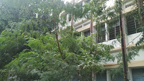 PT Lee Chengalvaraya Naicker College of Engineering and Technology, Chennai