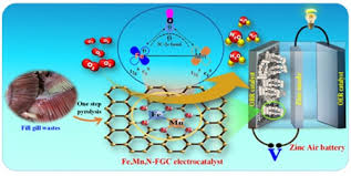 Scientists develop electrocatalysts for rechargeable metal-air battery from Fish gills