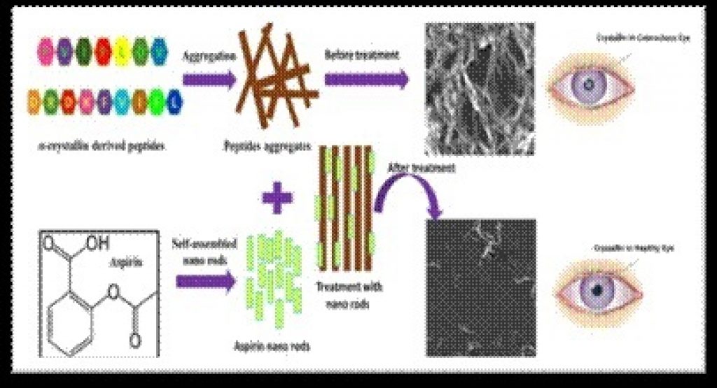 INST scientists develop simple economical nonsurgical prevention of cataract