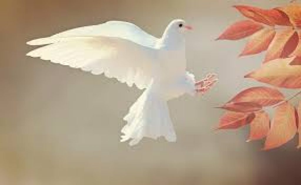 International Day of Peace 2020