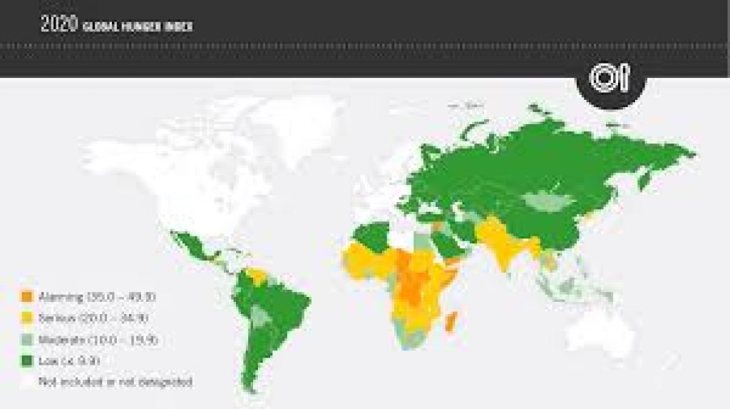 Global Hunger Index 2020