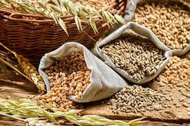 India touched record in Foodgrains production in 2019-20 crop year