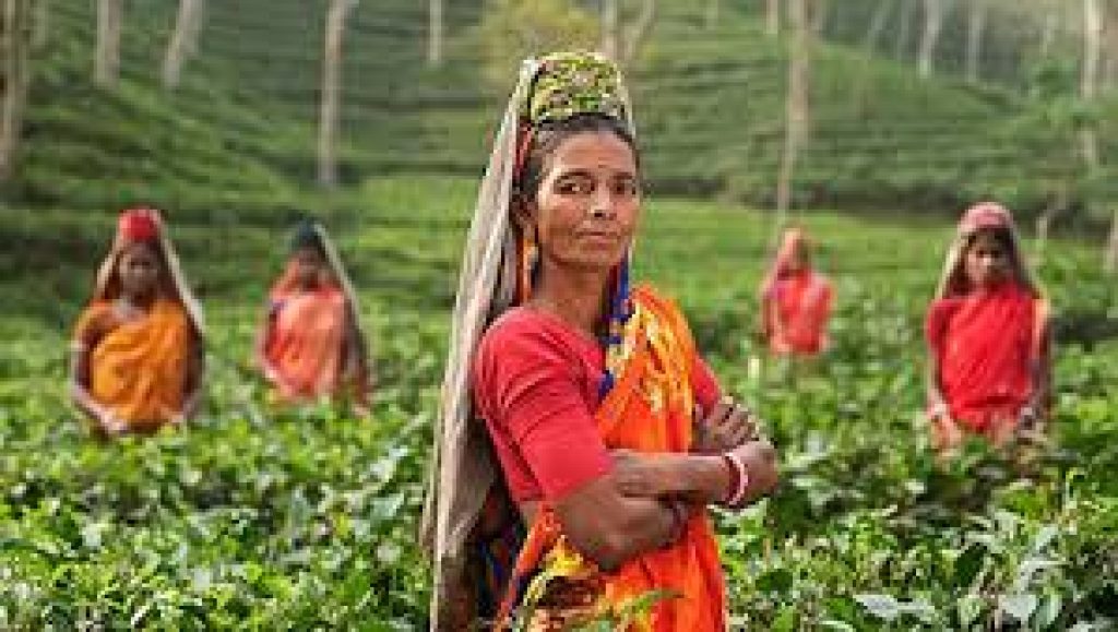 International Day of Rural Women