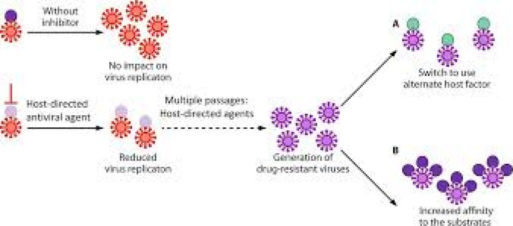 NCVTC to develop host-directed antivirals for COVID-19 disease