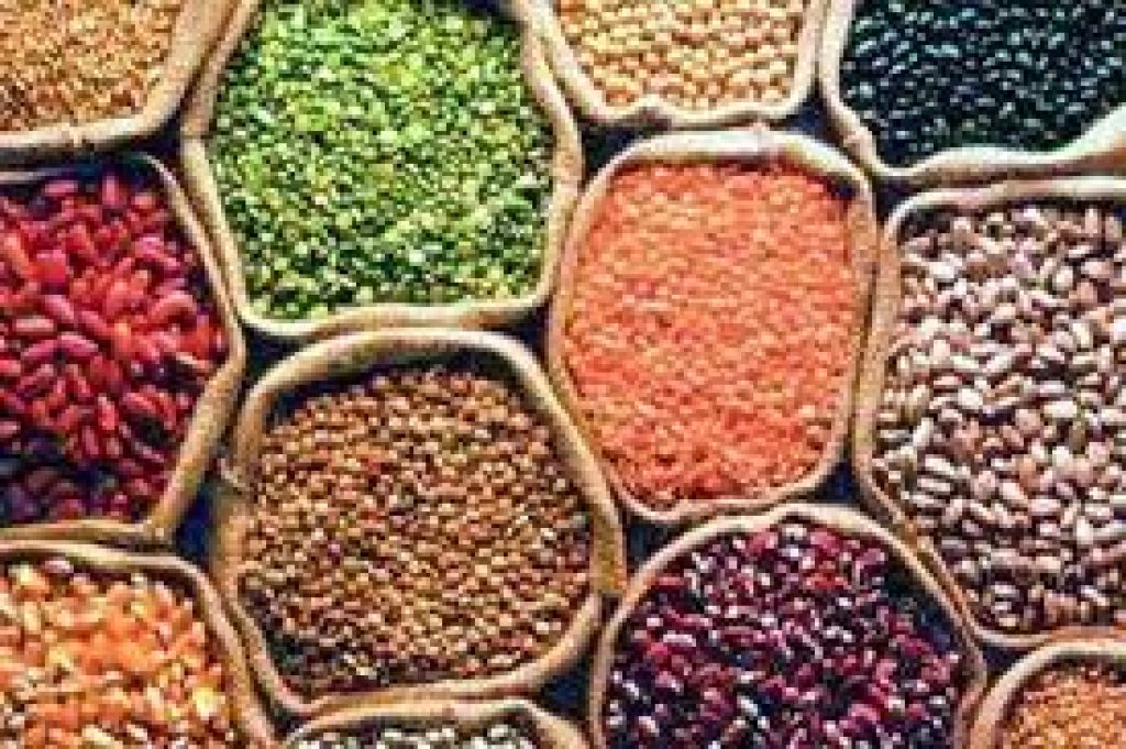 Nafed procures pulses, oilseeds at support price amid lockdown