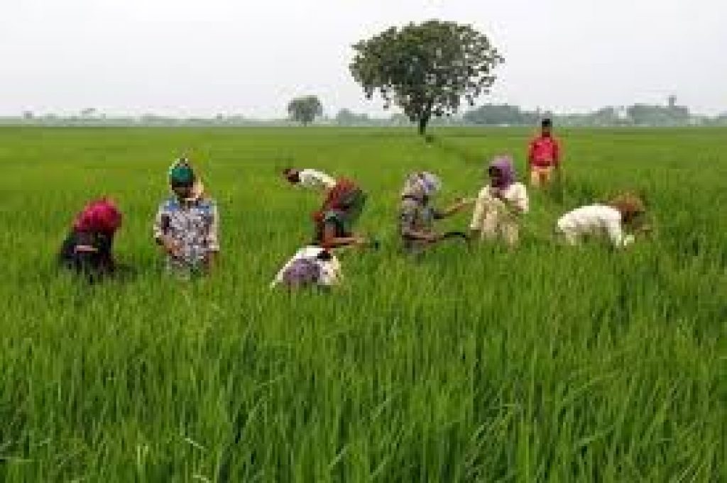 uttarakhand-kisan-pension-yojana