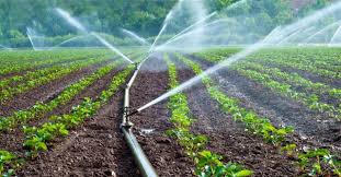 NABARD release interest sub-vented loan from Micro-Irrigation Fund