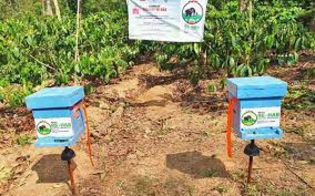 Bee fences to ward off elephant attacks