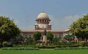 Solicitor General urges Supreme Court to demarcate role of amicus curiae