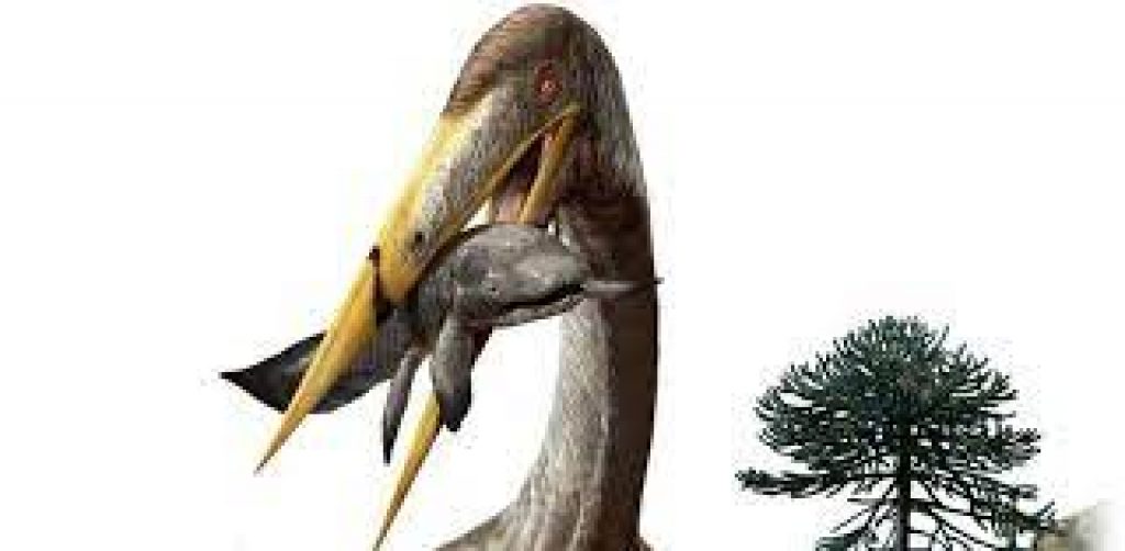 Largest ever flying creatures had longer necks than giraffes