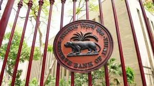 Panel set up by RBI to assist regulatory review authority