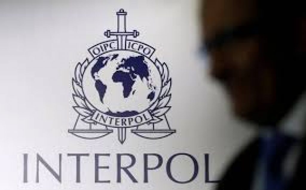 Interpol launched Global database to identify missing persons