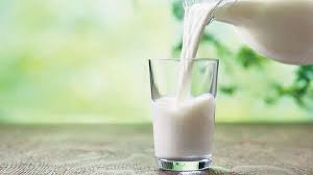 World Milk Day 2021