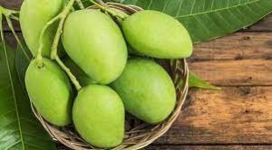 GI certified Fazil mango shipped to Bahrain