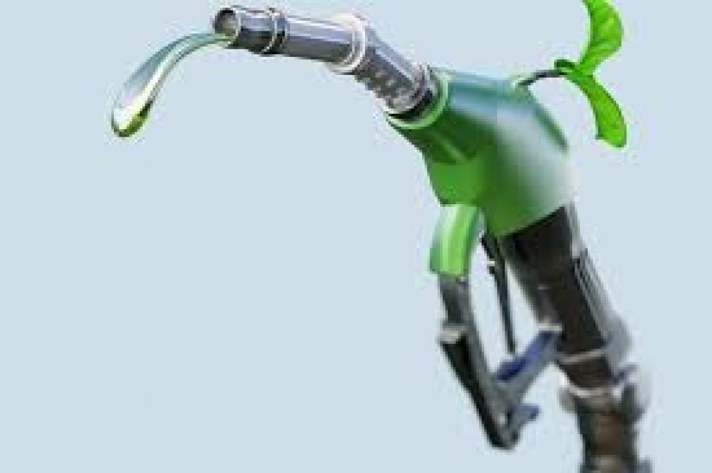 World Biofuel Day 2021