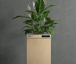 IIT Ropar develop’s world’s first ‘Plant based’ smart air-purifier