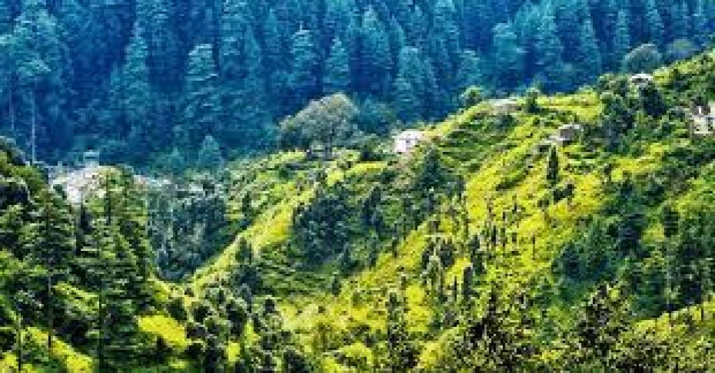 India’s first ‘Grass Conservatory’ inaugurated in Uttarakhand’s Ranikhet