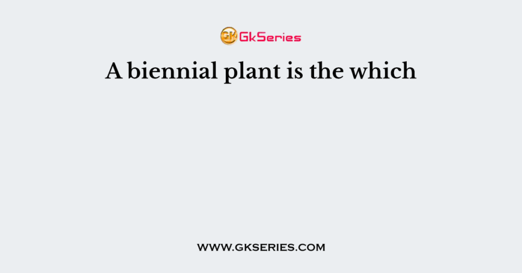 A biennial plant is the which