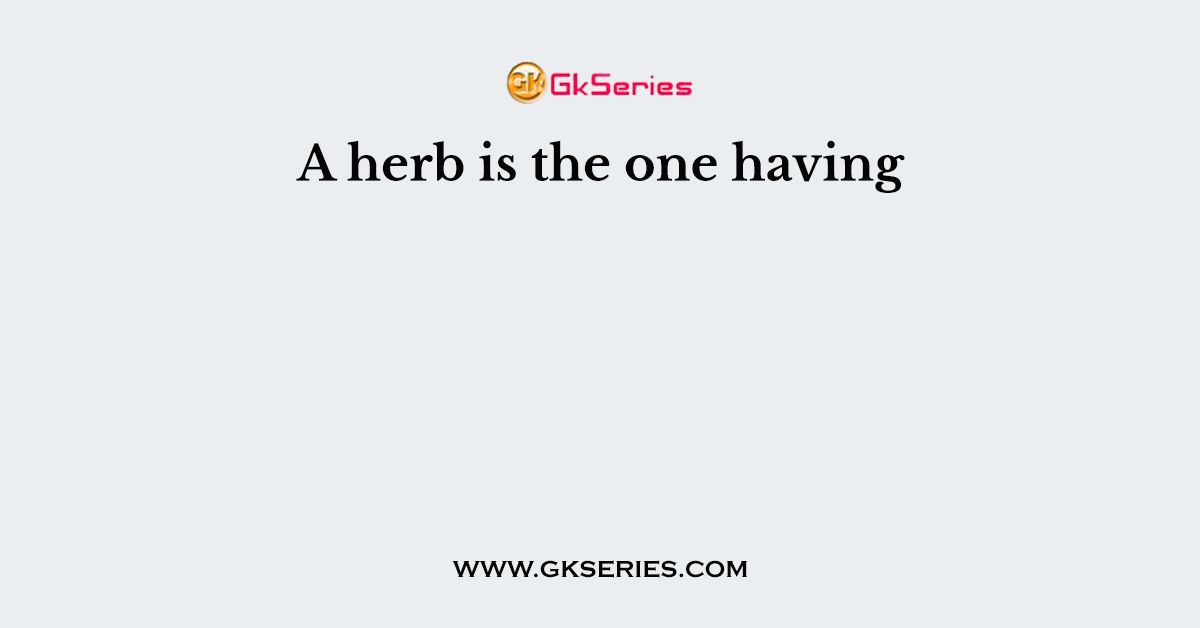 A herb is the one having