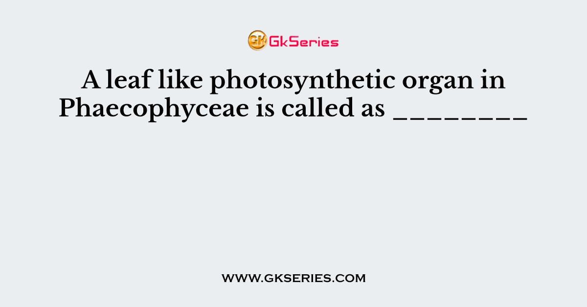 A leaf like photosynthetic organ in Phaecophyceae is called as ________
