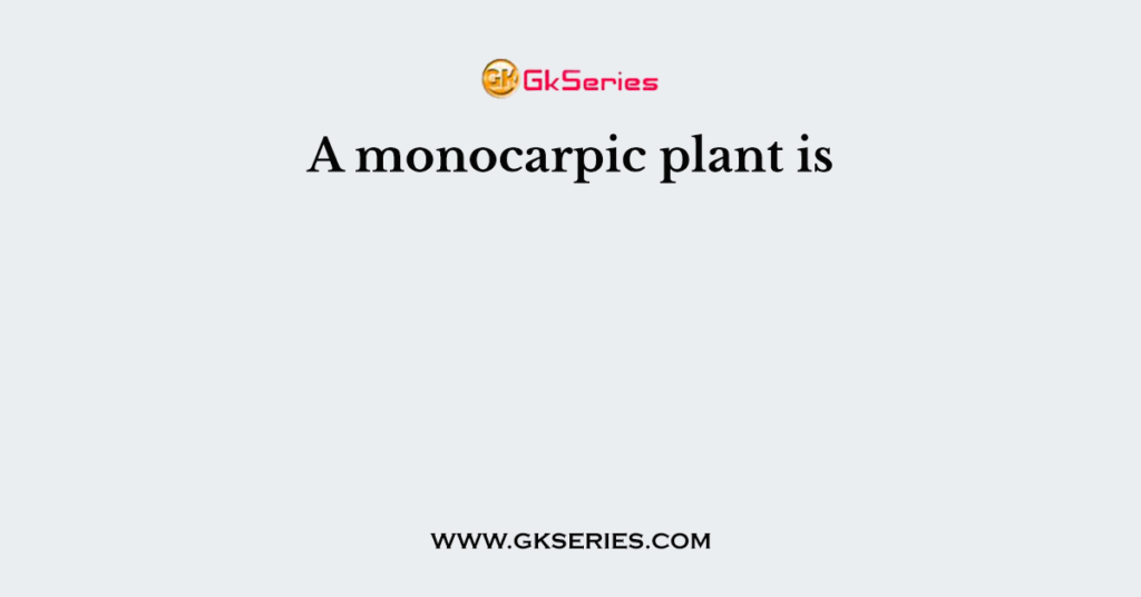 A monocarpic plant is