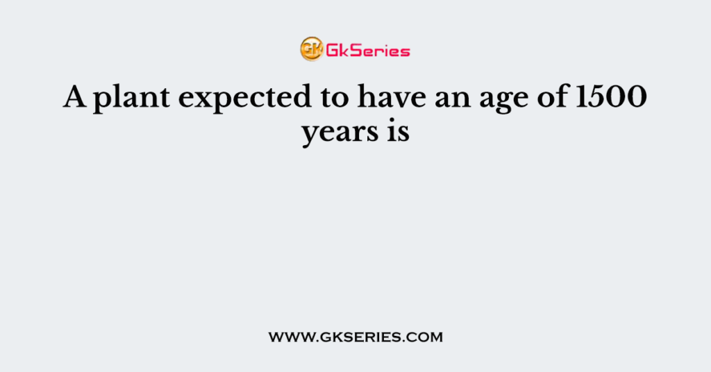 a-plant-expected-to-have-an-age-of-1500-years-is