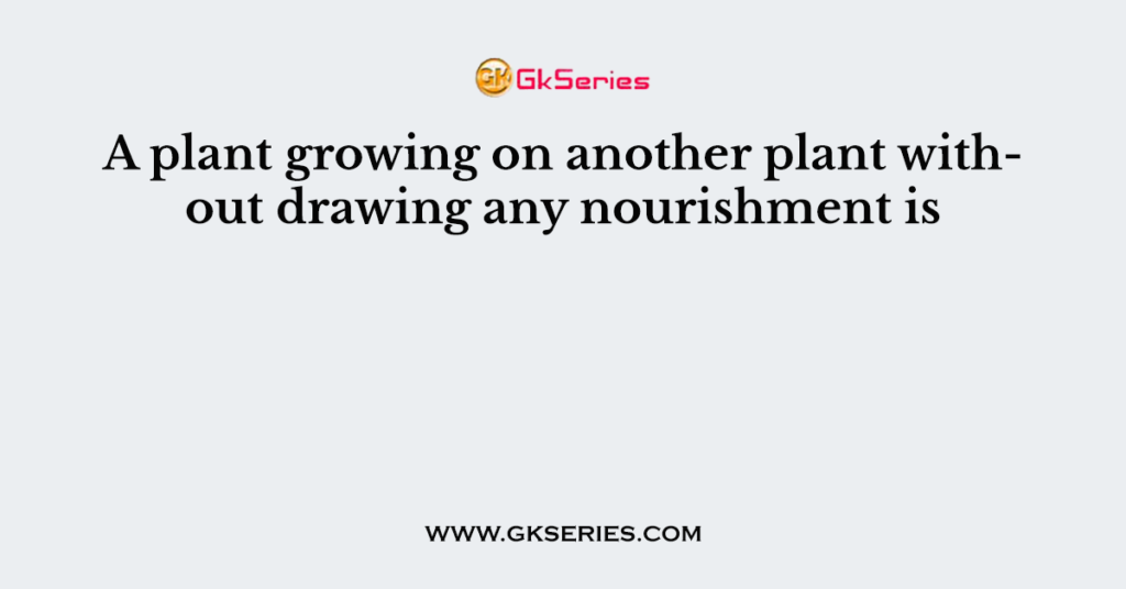 A plant growing on another plant without drawing any nourishment is