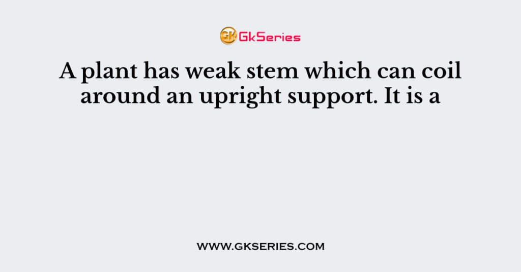 a-plant-has-weak-stem-which-can-coil-around-an-upright-support-it-is-a