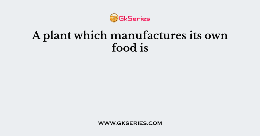 a-plant-which-manufactures-its-own-food-is