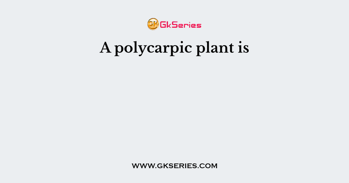 A polycarpic plant is