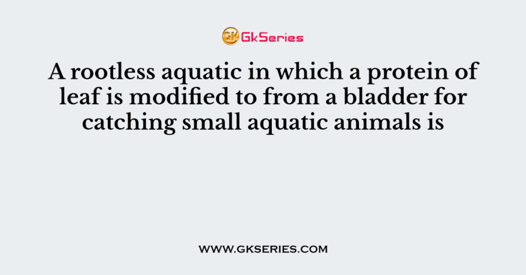 A rootless aquatic in which a protein of leaf is modified to from a bladder for catching small aquatic animals is