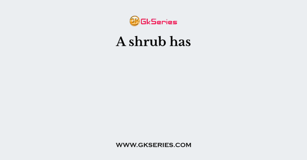 A shrub has