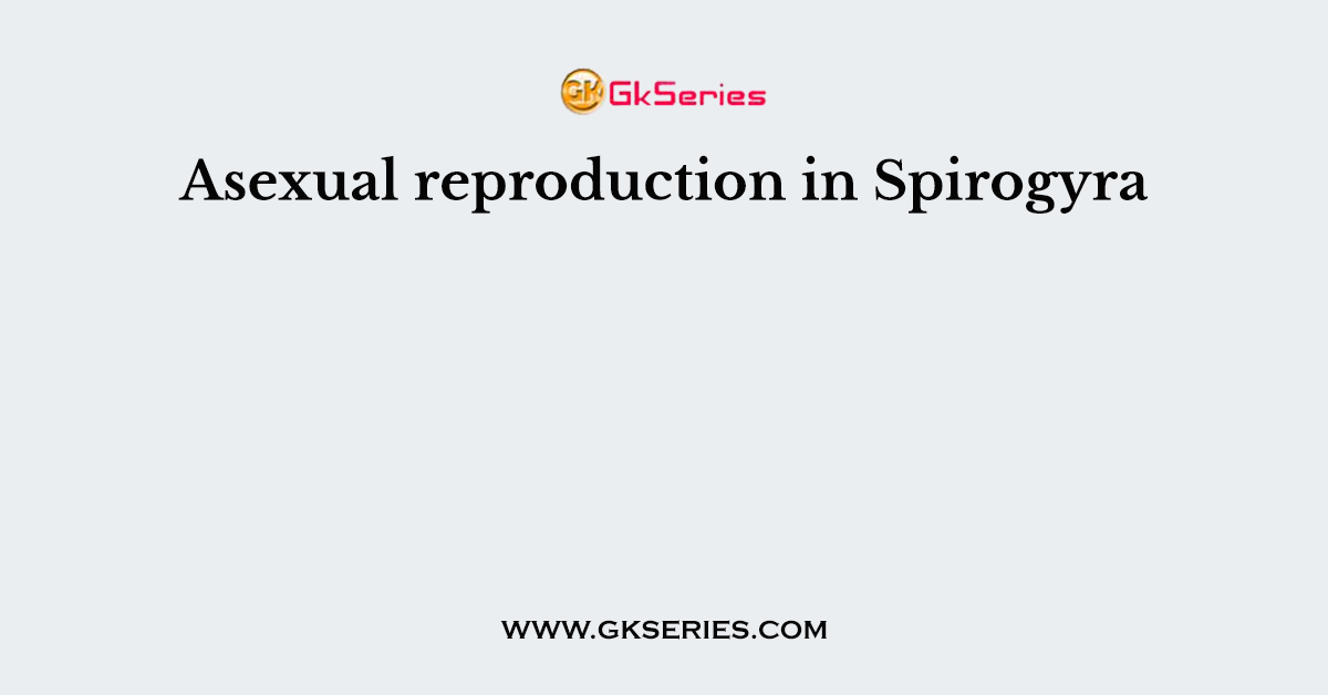 Asexual reproduction in Spirogyra