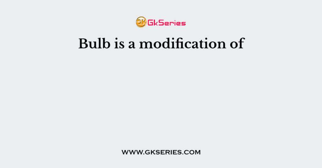 bulb-is-a-modification-of