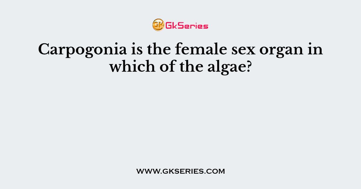 Carpogonia is the female sex organ in which of the algae?