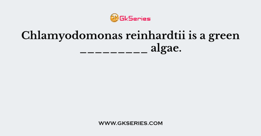 Chlamyodomonas reinhardtii is a green _________ algae.