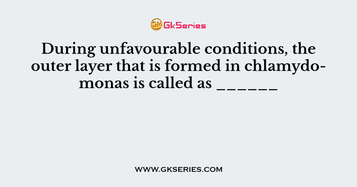 During unfavourable conditions, the outer layer that is formed in chlamydomonas is called as ______