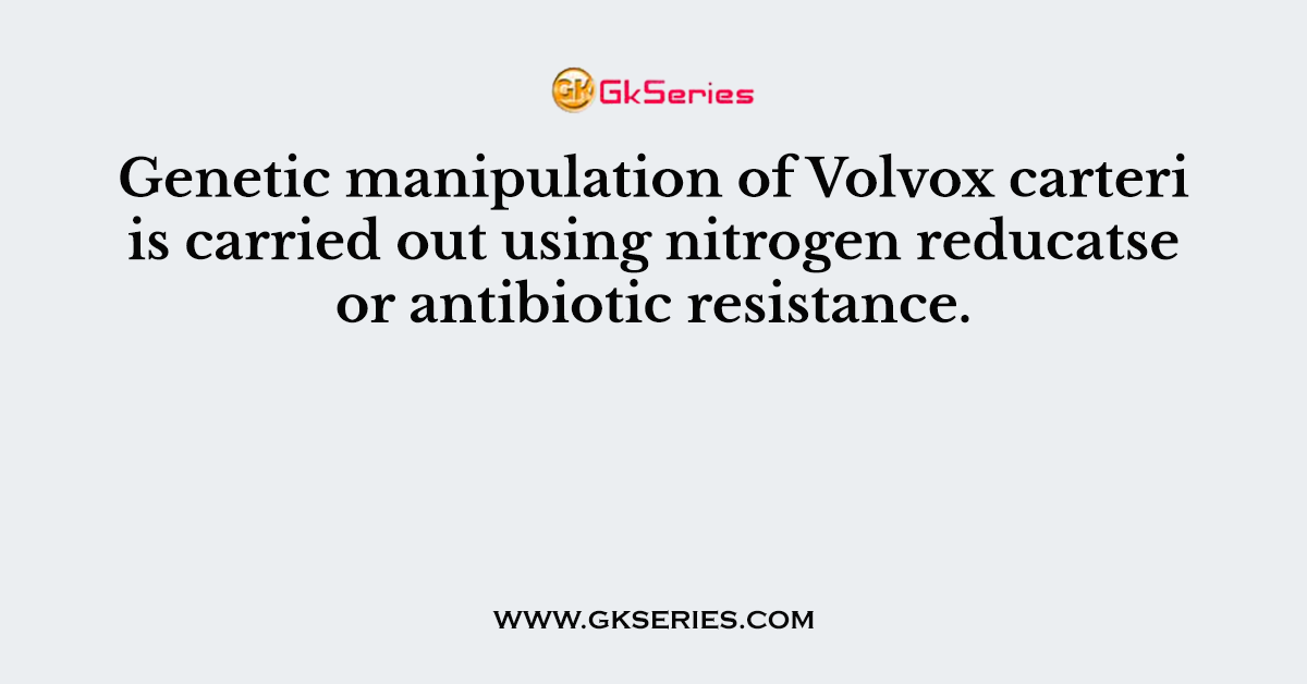 Genetic manipulation of Volvox carteri is carried out using nitrogen reducatse or antibiotic resistance.