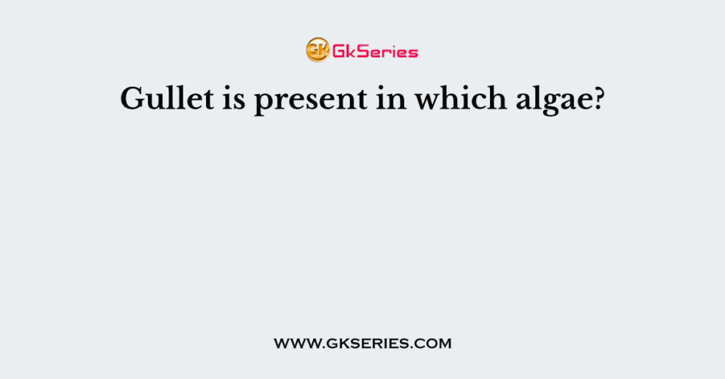 Gullet is present in which algae?