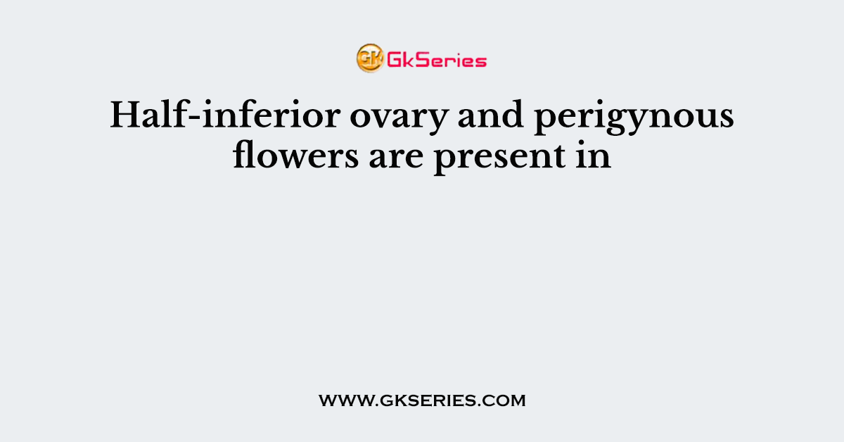 Half-inferior ovary and perigynous flowers are present in