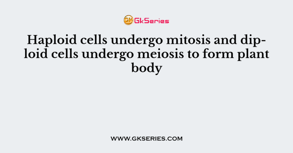 Haploid cells undergo mitosis and diploid cells undergo meiosis to form plant body