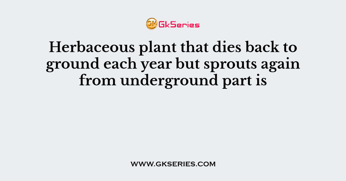 Herbaceous plant that dies back to ground each year but sprouts again from underground part is